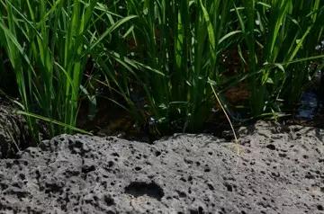 K8·凯发(中国)天生赢家·一触即发