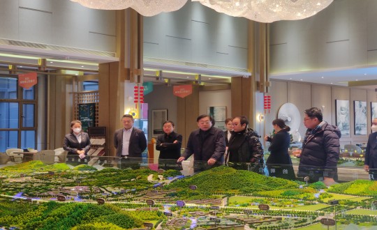 6. 董事长王岩欢迎中国健全产业投资基金辅导组参观调查_副本.jpg