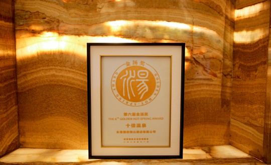 44.酒店公司荣获第六届金汤奖_副本.jpg