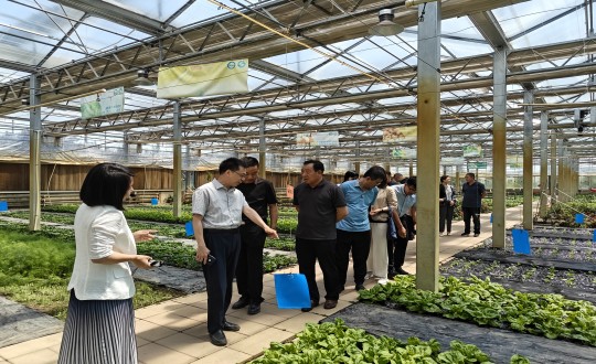 2024年6月27日，中国绿色食品发展中心有关辅导光临农业总公司调查调研_副本.jpg